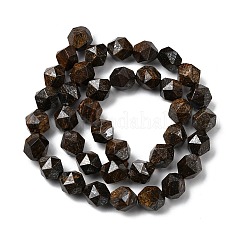 Natural Bronzite Beads Strands&nbsp;G-Z119-A30-03