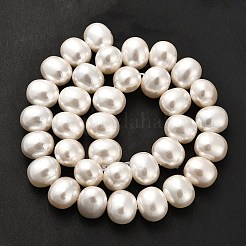 Electroplated Shell Pearl Beads Strands&nbsp;BSHE-C009-03B