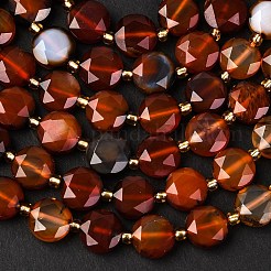 Natural Agate(Dyed & Heated) Beads Strands&nbsp;G-C116-A149-01