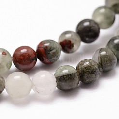 Natural African Bloodstone Beads Strands&nbsp;G-G735-32-10mm