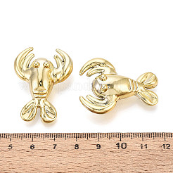 メッキアクリルビーズ  ロブスター  黄金メッキ  36.5x27.5~28x13~13.5mm  穴：2.5mm&nbsp;SACR-T017-85