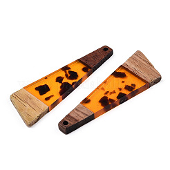 Transparent Resin & Walnut Wood Big Pendants&nbsp;X-RESI-TAC0017-71-B01