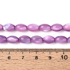 天然ニシキウズガイシェルビーズ連売り  染め  ライス  蘭  8.5~9x6mm  穴：0.8mm  約43~45個/連  15.16~15.94''（38.5~40.5cm）。&nbsp;X-SHEL-K006-19-01D