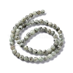 Natural Sesame Jasper/Kiwi Jasper Bead Strands&nbsp;X-G-R345-6mm-12