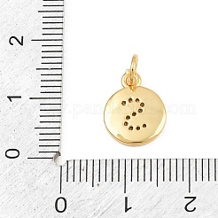 Brass Micro Pave Clear Cubic Zirconia Charms&nbsp;CU-CBA56CE-12G-S