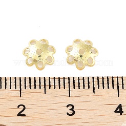 316 Stainless Steel Bead Cap&nbsp;STAS-K274-05G
