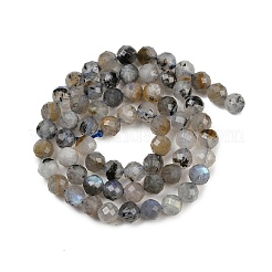 Natural Labradorite Beads Strands&nbsp;G-G281-B03-6mm