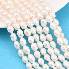 Natural Cultured Freshwater Pearl Beads Strands, Rice, Grade 2A, Beige, 6~7mm, Hole: 0.5mm, about 40~41pcs/strand, 13.31''(33.8cm)~13.39''(34cm)