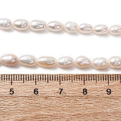 Natural Cultured Freshwater Pearl Beads Strands&nbsp;PEAR-F020-03
