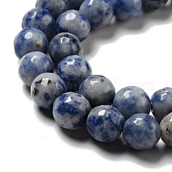 Natural Blue Spot Jasper Beads Strands&nbsp;G-P476-01C-02