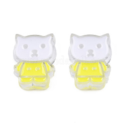 Transparent Acrylic Enamel Beads&nbsp;TACR-N012-005G