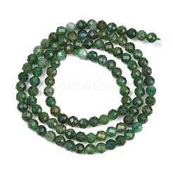 Natural Fuchsite Beads Strands&nbsp;G-RM250101-C33