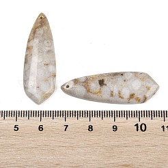 天然の化石のサンゴペンダント  マッチするチャーム  ティアドロップチャーム  39~40x13~13.5x4~4.5mm  穴：1.2mm&nbsp;G-B187-01C-01