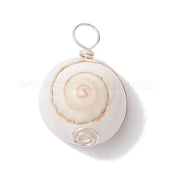 Natural Shiva Eye Shell Copper Wire Wrapped Pendants&nbsp;PALLOY-JF02680-02
