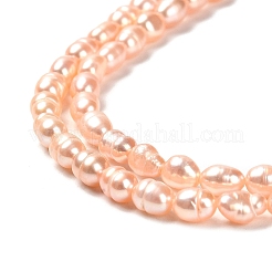 天然養殖淡水パールビーズ連売り  ライス  グレード2 A  桃パフ  6~6.5x4~4.5mm  穴：0.5mm  約62個/連  14.06''~14.25''（35.7~36.2センチメートル）&nbsp;PEAR-E016-163