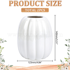 磁器の花瓶の装飾品  樽カボチャ  ホワイト  123x140mm&nbsp;AJEW-WH0481-482