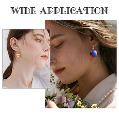 40Pcs 2 Colors 304 Stainless Steel Leverback Earring Findings&nbsp;STAS-DC0007-31