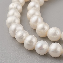 天然養殖淡水パールビーズ連売り  ポテト  貝殻色  8~9x7~8mm  穴：0.5mm  約51個/連  14.17インチ（36cm）&nbsp;PEAR-G007-27-01
