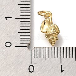 Rack Plating Brass Micro Pave Cubic Zirconia Charms&nbsp;KK-I720-55G