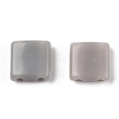 Opaque Acrylic Slide Charms&nbsp;OACR-Z010-01S