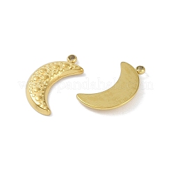 Ion Plating(IP) 304 Stainless Steel Charms&nbsp;STAS-R233-10G