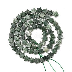 Natural Green Spot Jasper Beads Strands&nbsp;G-H087-C01-01