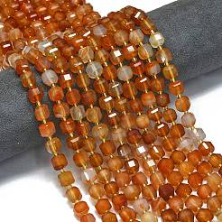 Natural Red Agate Beads Strands&nbsp;G-K389-A08-01