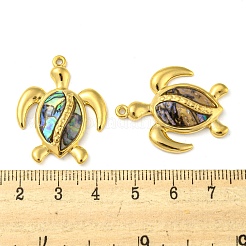 Natural Paua Shell Pendants&nbsp;STAS-P341-02G-01