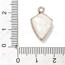 Natural Howlite Pendants&nbsp;G-K422-01G-09