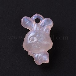 Luminous Acrylic Pendants&nbsp;OACR-E010-25