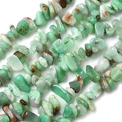 Natural Chrysoprase Beads Strands&nbsp;G-G0004-D01-A