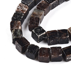 Natural Biotite Beads Strands&nbsp;G-T140-39A