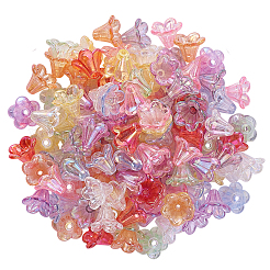 メッキABアクリルビーズキャップ  花/葉  ミックスカラー  13x13.5x10mm  穴：2mm&nbsp;PACR-CJ0001-14