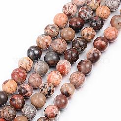 Natural Agate Round Bead Strands&nbsp;G-P070-68-3mm