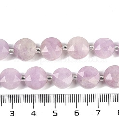 Natural Kunzite Beads Strands&nbsp;G-C116-A53-01