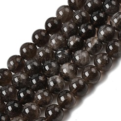 Natural Smoky Quartz Beads Strands&nbsp;G-B167-A09-10mm