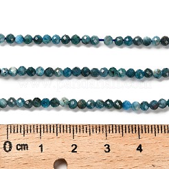 天然石アパタイトビーズ連売り  多面カットラウンド  3mm  穴：0.6mm  約135~140個/連  14.88~15.20''（37.8~38.6センチメートル）&nbsp;G-RM2025-28-3mm