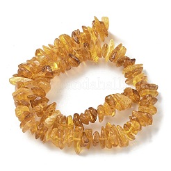 天然琥珀ビーズ連売り  チップ  11~16x8~9x2~5mm  穴：0.8mm  15.16インチ（38.5cm）&nbsp;G-L095-D01-06