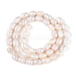 天然養殖淡水パールビーズ連売り  ライス  貝殻色  6~10x5~6mm  穴：0.6mm  約47~49個/連  13.58~13.98インチ（34.5~35.5cm）&nbsp;PEAR-N029-01B