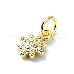 Brass Micro Pave Clear Cubic Zirconia Charms&nbsp;KK-H475-59G-07