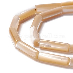 天然トロチッドシェル/トロカスシェルビーズ  ストレートチューブ  ナバホホワイト  14x3.5~4mm  穴：0.8mm  約29個/連  15.98インチ（40.6cm）&nbsp;SSHEL-O001-26A