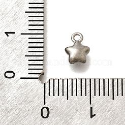 304 Stainless Steel Charms&nbsp;STAS-D310-06P-05