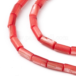 天然淡水貝殻染めビーズ連売り  コラム  レッドオレンジ  8x4mm  穴：0.8mm  約46個/連  14.96''（38センチメートル）&nbsp;SHEL-M018-11-07