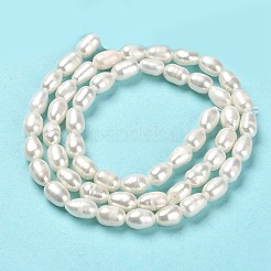 天然養殖淡水パールビーズ連売り  ライス  パパイヤホイップ  5~7.5x4~4.5mm  穴：0.5mm  約58~63個/連  35~36cm&nbsp;PEAR-E016-150