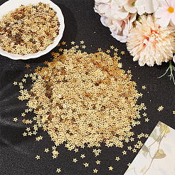 100G PET Paillette/Sequins Pendants&nbsp;KY-CY0001-24A