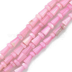 天然淡水シェルビーズ連売り  染めと未染色の混合  キノコ  ミックスカラー  7.5x4mm  穴：0.7mm  約50個/連  14.76インチ（37.5cm）&nbsp;SHEL-G013-02