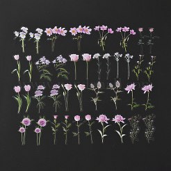 40 個の防水ペット粘着ステッカーセット  花柄  花柄  8.3~8.6x2.9~7x0.015cm  40個/袋&nbsp;DIY-K032-56F