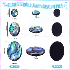 18個 3種類の天然パウア貝カボション  オーバル  カラフル  10~24.5x8~18x2.5~3mm  6個/スタイル&nbsp;SSHEL-PH0001-43