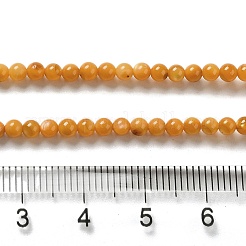 天然淡水シェルビーズ連売り  ラウンド  染め  ゴールデンロッド  4mm  穴：0.5mm  約124~132個/連  14.96''（38センチメートル）&nbsp;SHEL-H003-03E