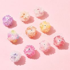 10Pcs 10 Colors Resin Beads&nbsp;RESI-FS0002-24B